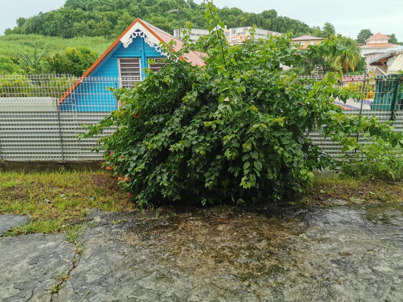 Anais Loc Daire La Trinité Dış mekan fotoğraf